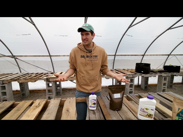 Understanding Fertilizer and Its Ingredients