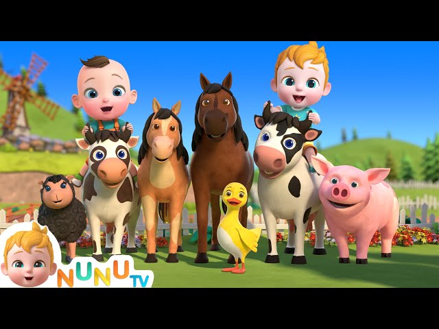 Moo Moo 🐄 Oink Oink ! 🐷 Animal Sound Song | Nursery Rhymes & Kids Songs | NuNu Tv