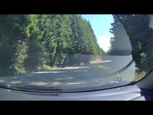 20250727 113823 000063 #olympicnationalpark #seattle