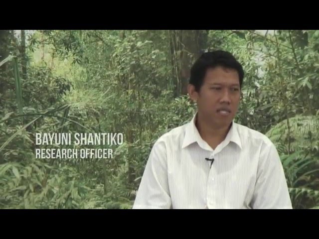 Bayuni Shantiko on Scenarios building in complex commons