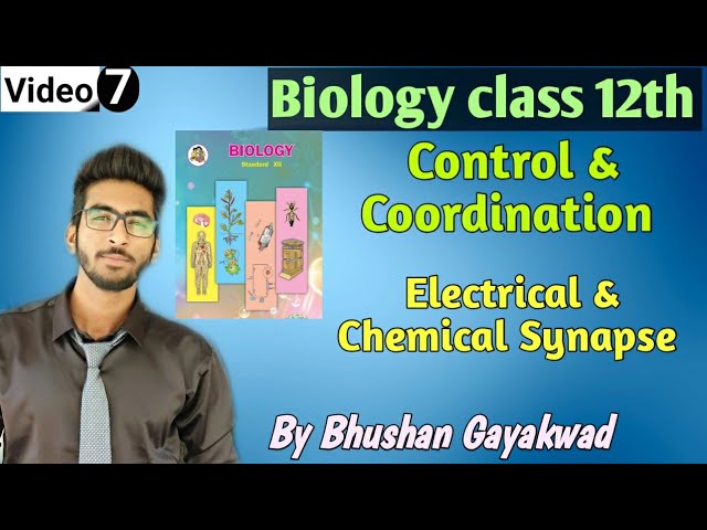 Types of Synapse || Electrical Synapse and Chemical Synapse || Part 7 Control and Coordination