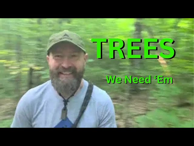 The One about Trees, and the benefits they have.