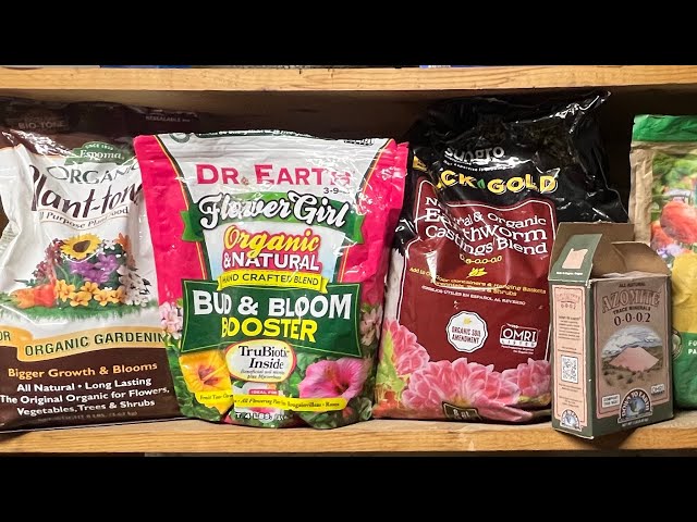Quick Microbial Tea  Use Throughout Organic Garden 