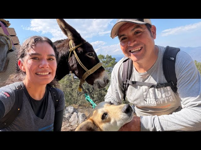 👑🎉 ¡LUIS DE RADIO MOJARRA CORONA CON GRIS EN EL MUNDO MARLBORO! MIRA SU FELICIDAD 😱✨#RadioMojarra 