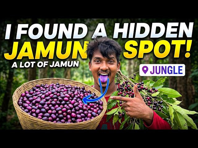 my first vlog 2026 | testing the blue jamun | daily vlog #vlog #dailyvlog @A-Vlogger07 