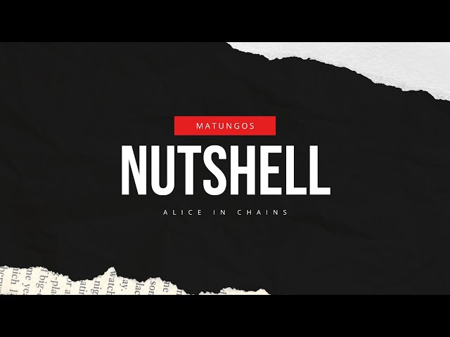 Nutshell - Alice in Chains (Matungos Rock) #AliceInChains #Nutshell #Grunge #rock90s