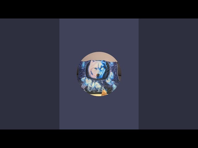 Jigsaw No Food ..I Am Just Being Me is live!