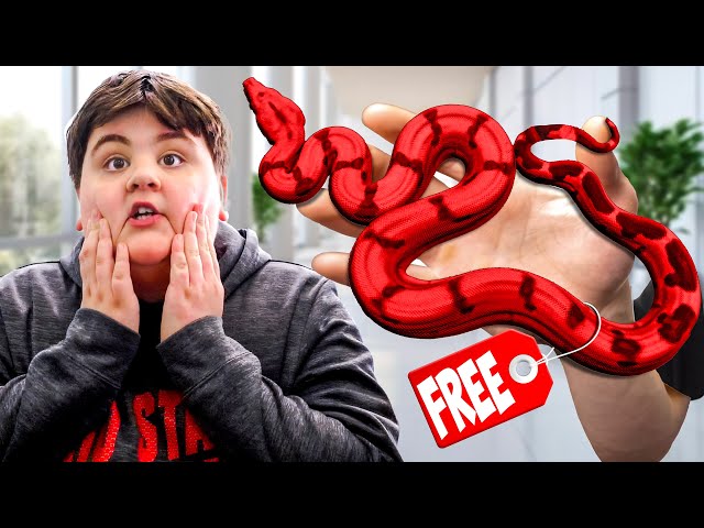 Surprising A Random Kid With His Dream Snake