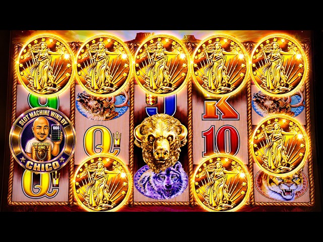 BACK TO BACK 4 BANGERS ON BUFFALO GOLD