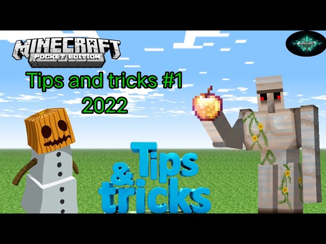 Minecraft tips and tricks # 1 ( @shulkgamerz )