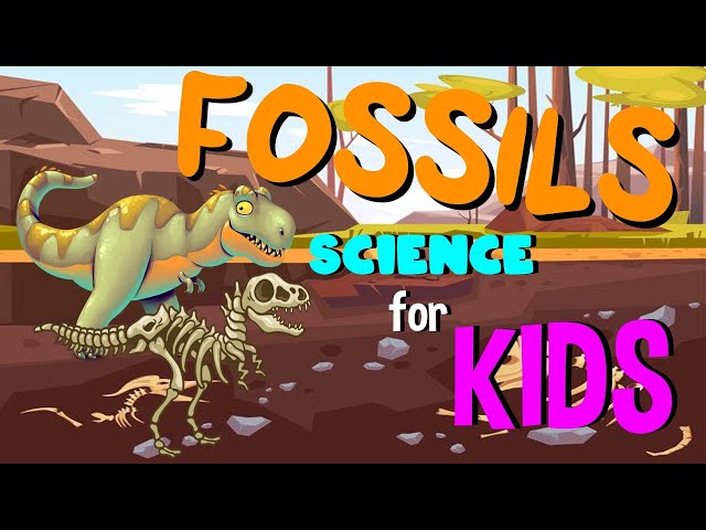 What are Fossils | Science for Kids