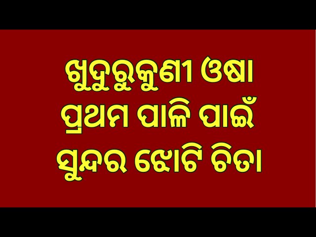 Khudurukuni Osa 2026 Special Kothi Chita Designs/ Easy Jhoti Chita for BEGINNERS🪷/ Easy Rangoli🌺