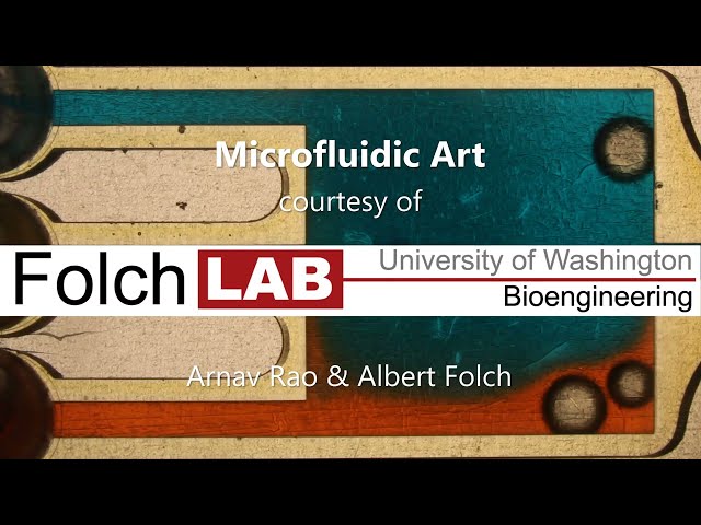 Microfluidic Art (Folch Lab): “Son tus perjúmenes mujer” -Carlos Mejía Godoy y los de la Palacagüina