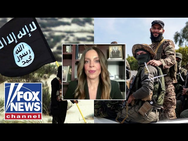 We can't be 'playing whack-a-mole' on these types of attacks: Foreign policy analyst