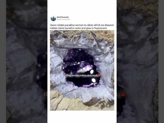 The Example Of Rubies And Corals in Quran | Visit Channel For More Miracles