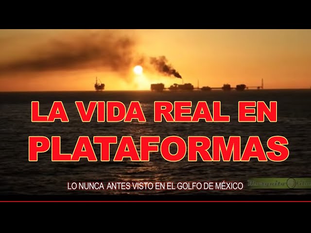 La vida real en Plataformas | Documental