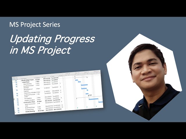 Updating Task Progress in MS Project