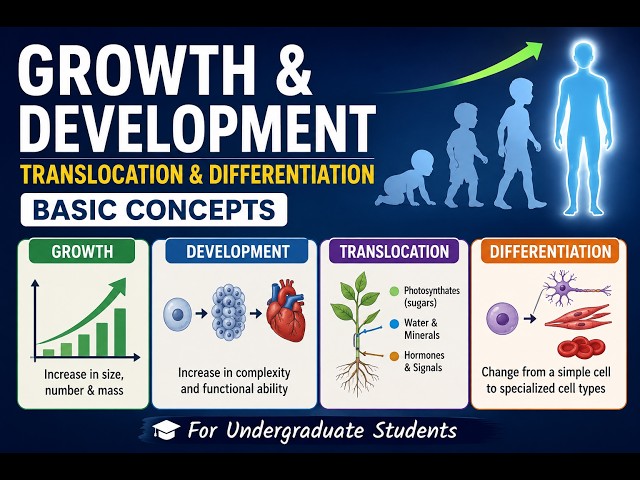 Growth, Development, Translocation & Differentiation | Basic Concepts