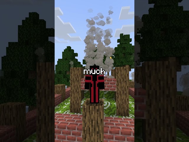 The New BEST PUBLIC LIFESTEAL SMP (Java + Bedrock)