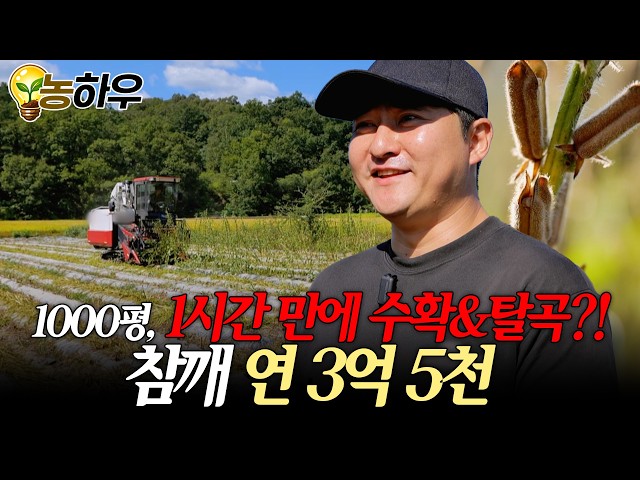 [역전의부자농부 427회] 깨 볶아서 부자되는 법