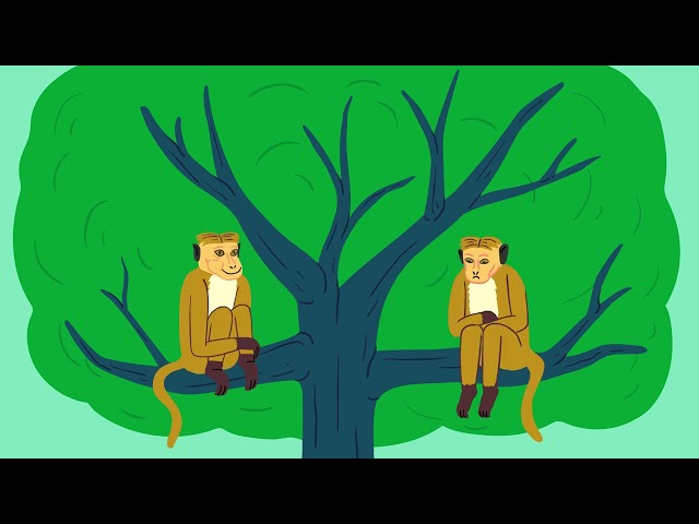 ​​Are we in harmony with the wildlife around us?