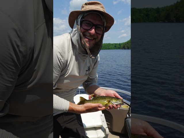 Fishing, nature, wide-open spaces – Pure happiness ❤️🎣🏕️ #ljvs #flyfishing #quebec #fishing