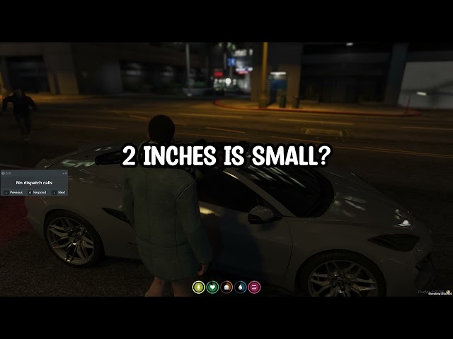 IS 2 INCHES REALLY SMALL??!? GTA 5 RP Servers TROLLING