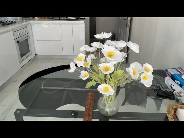 MY SISTER'S HOUSE TOUR IN ANKARA🏡|ankara vlog