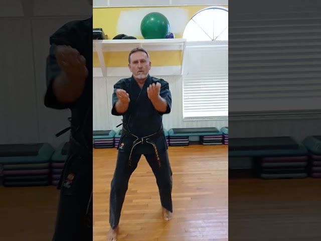 Sanchin Kata Tutorial.
