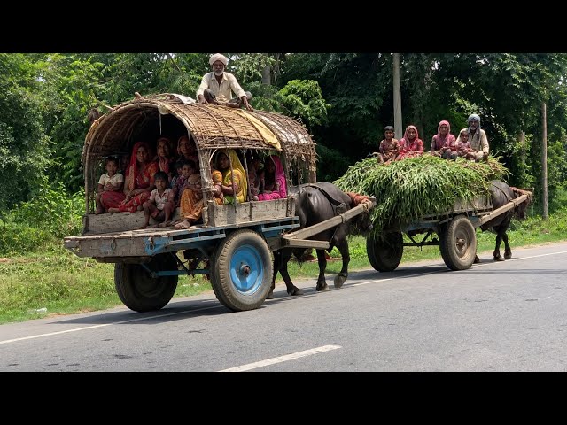 🇮🇳How People live in Indian Village {} Real Life in Indian Village || Indian Real Village Lifestyle 