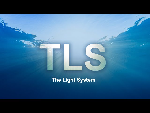 What is TLS? | The Light System