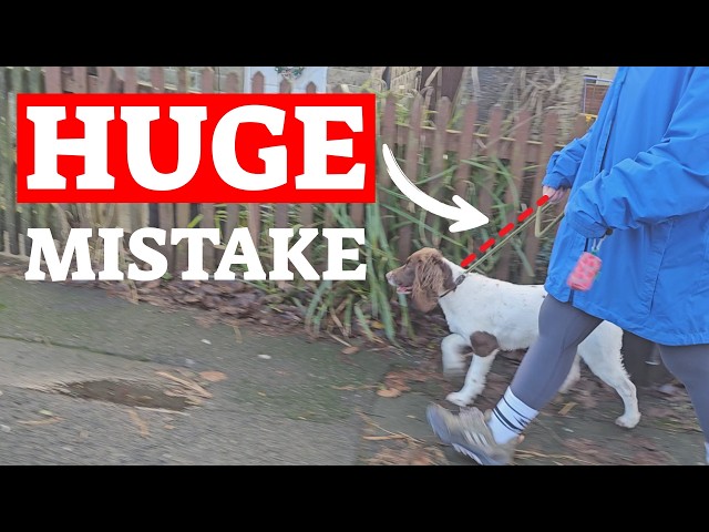 The FASTEST Way To STOP Your Dog Pulling (Guaranteed)