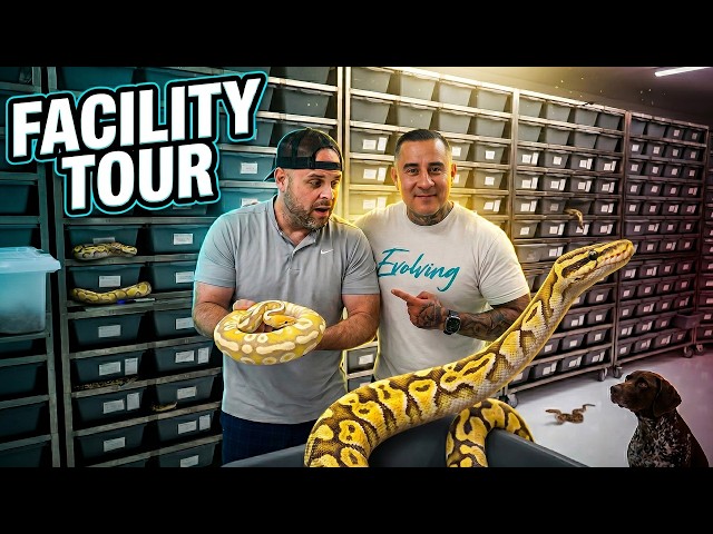 This Snake Collection Blew My Mind ! 