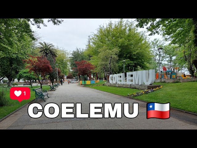 📍Coelemu - Valle del itata 🇨🇱