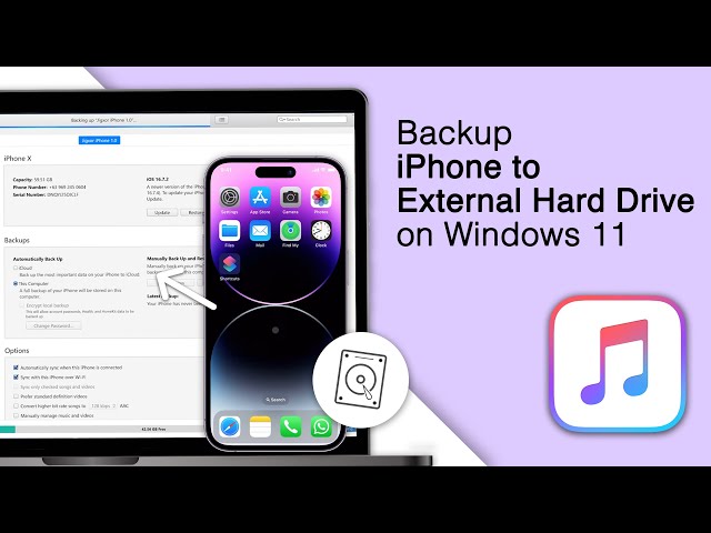 Backup iPhone to external Hard Drive on Windows 11 [2024]