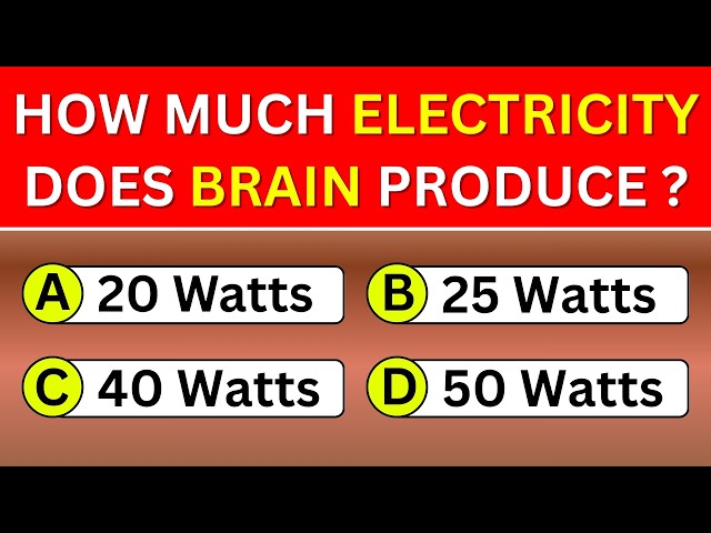 Can You Hit 20/40? 🤔 40 Human Body Quiz Questions! 🧠