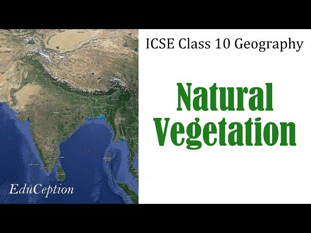 NATURAL VEGETATION | ICSE Class 10 Geography