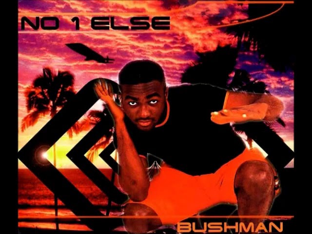 Bushman   No 1 Else  Radio Mix