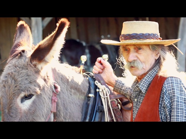 Get Your Ass to Work! An Illustrated Guide to Training your Donkey to Harness