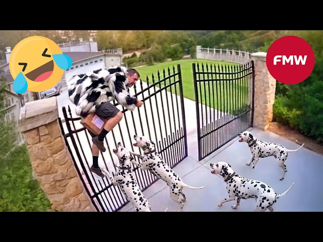 Try Not To Laugh 🤣 Top 100 Funniest Videos Ever 😂 | Funny Videos Compilation 2026 #136