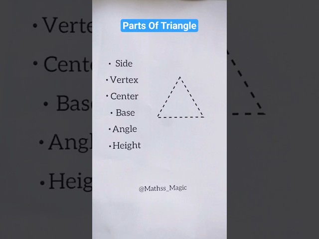Parts Of Triangle 📐 #maths #shortsfeed #shorts #education #mathematics