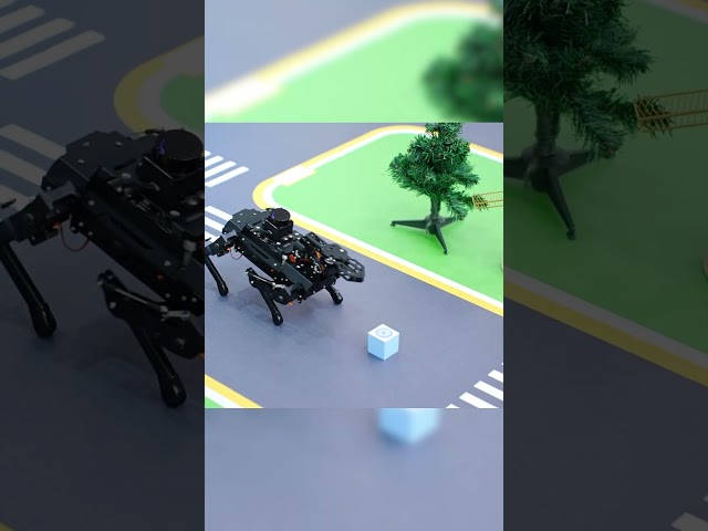 Stable yet agile—what's the secret? 🤔