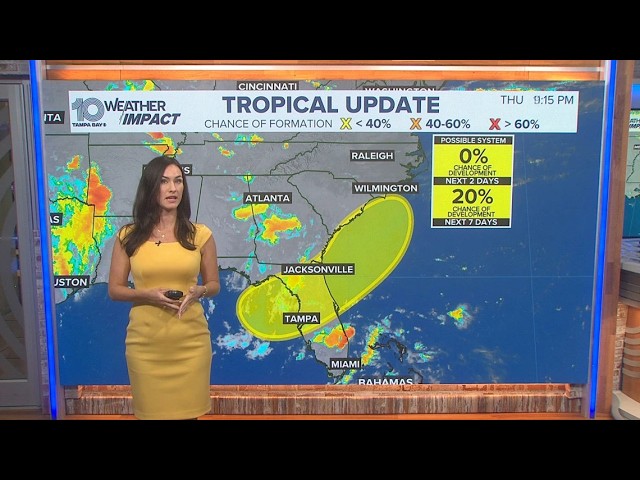 Disturbance off Florida's Gulf coast has small chance of developing this weekend, NHC says