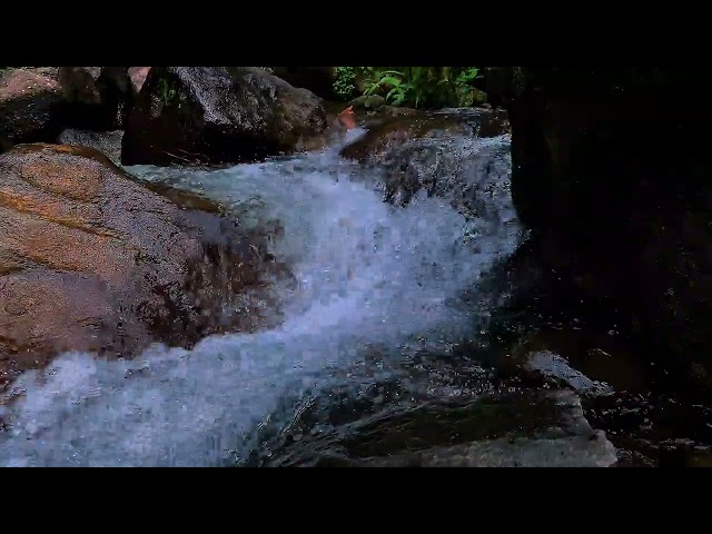 Pristine river ambience from Java featuring flowing water textures for focus and clarity