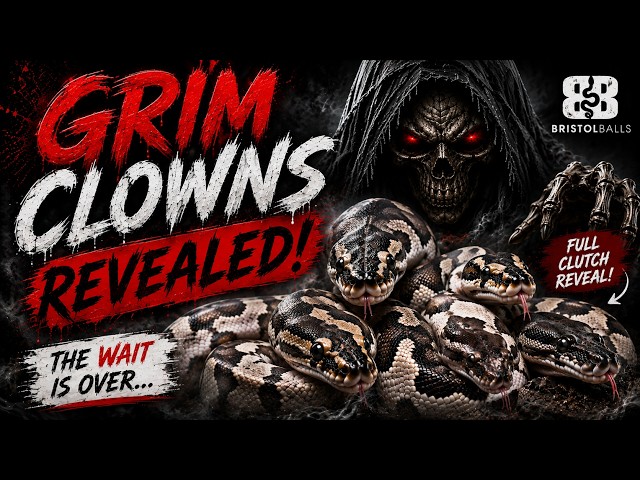 🔥 We Finally Reveal Our GRIM CLOWNS… Did We Hit the Jackpot?! 😱