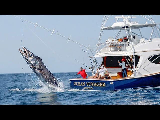 6 Ancient Fish Catches Ever Filmed | Ocean Cuts #7