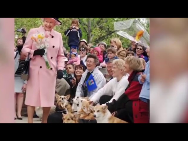 Agentic AI developer Live Stream