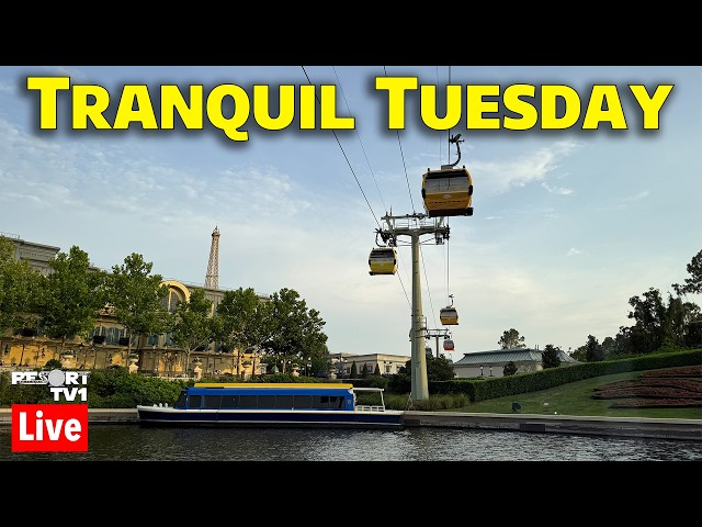 🔴Live: Tranquil Tuesday on the Disney Skyliner - 10-6-26 - Walt Disney World Live Stream