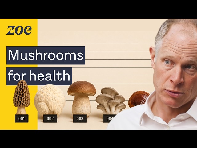 The fungi scientist: The #1 mistake you're making when eating mushrooms for health