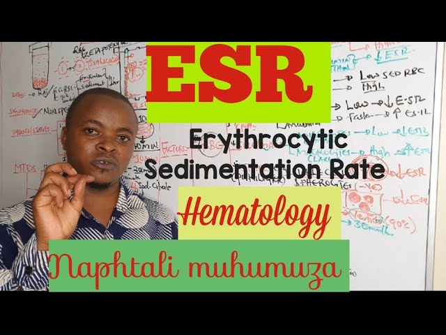 ESR Explained!|| Erythrocytic Sedimentation Rate | Hematology 
